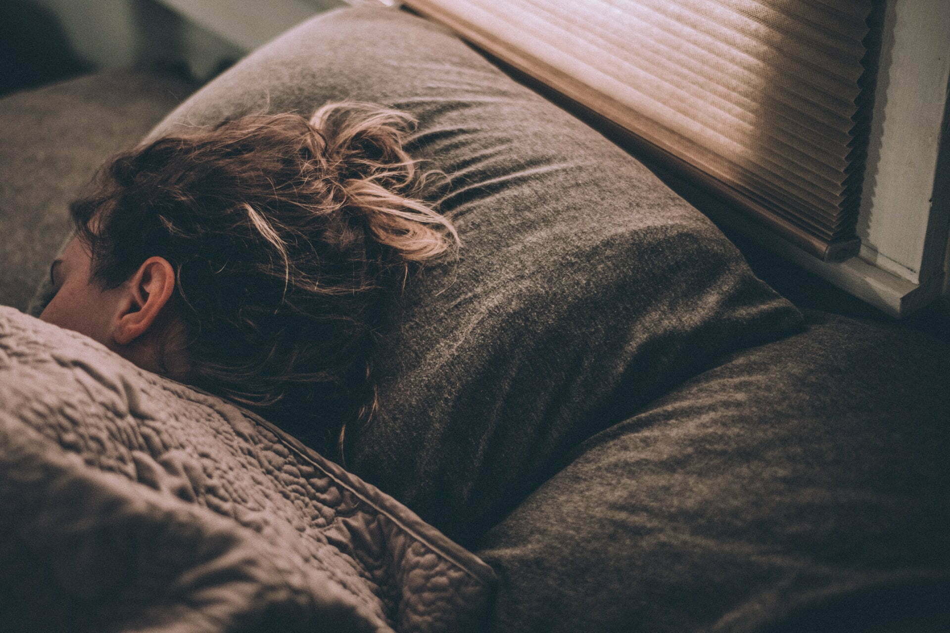 a dog lying on a couch