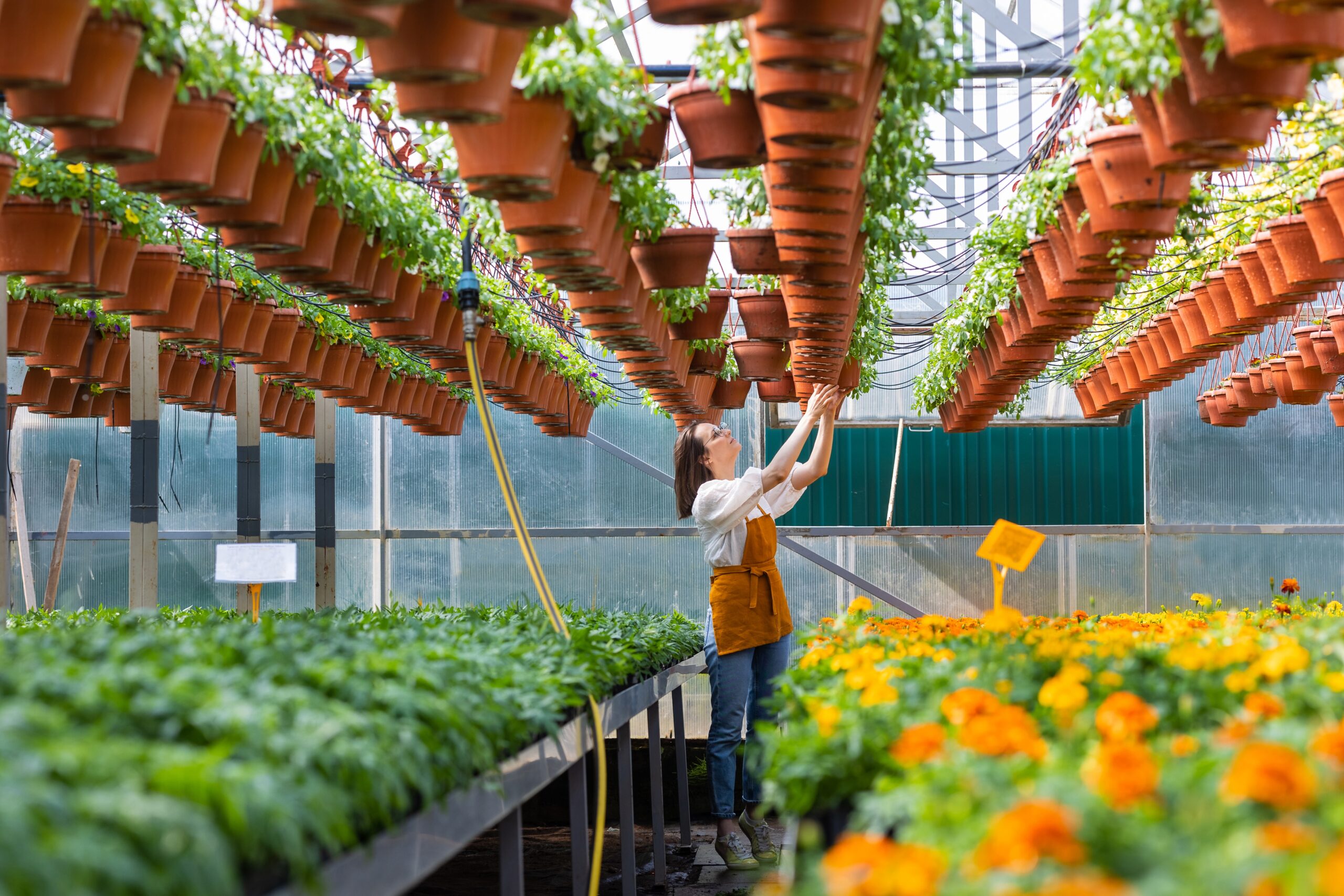 How To Grow Your Business Quickly and Efficiently