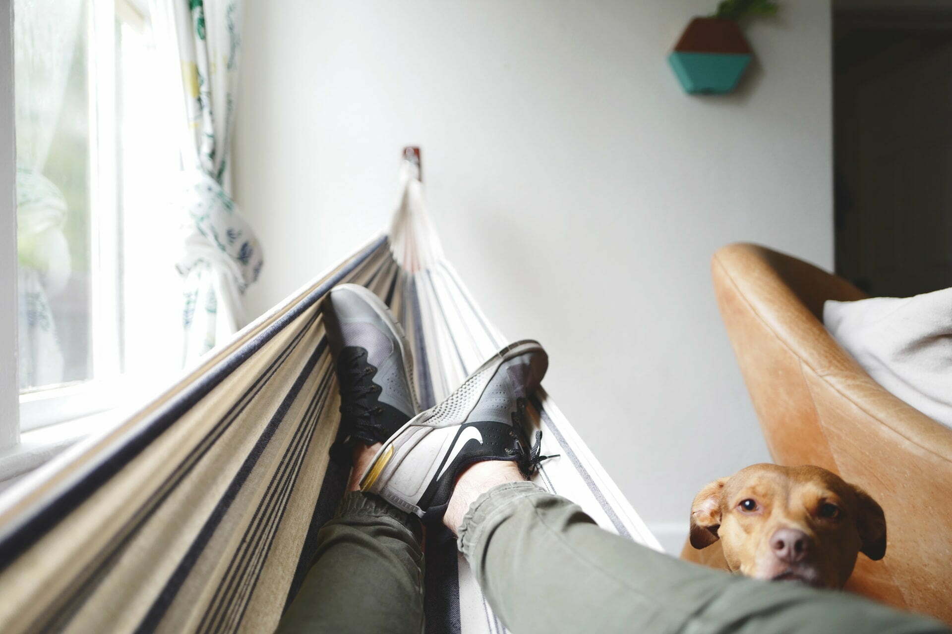 a person's legs and a dog on a bed