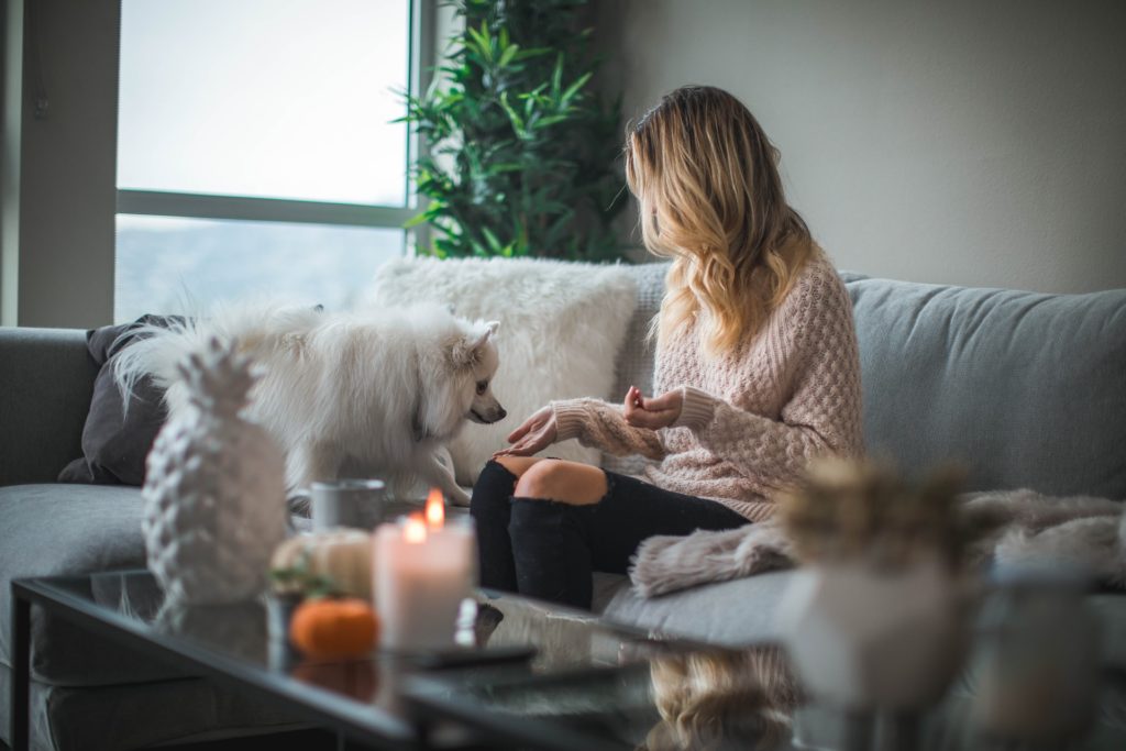 5 Ways to Improve the Energy Efficiency of Your Home 1 roberto nickson q9nZUFC1nTw unsplash 1