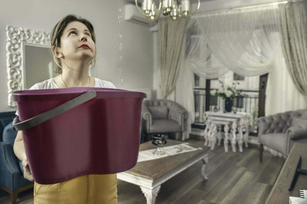 What To Do When You Have a Roof Leak 1 Roof Leak