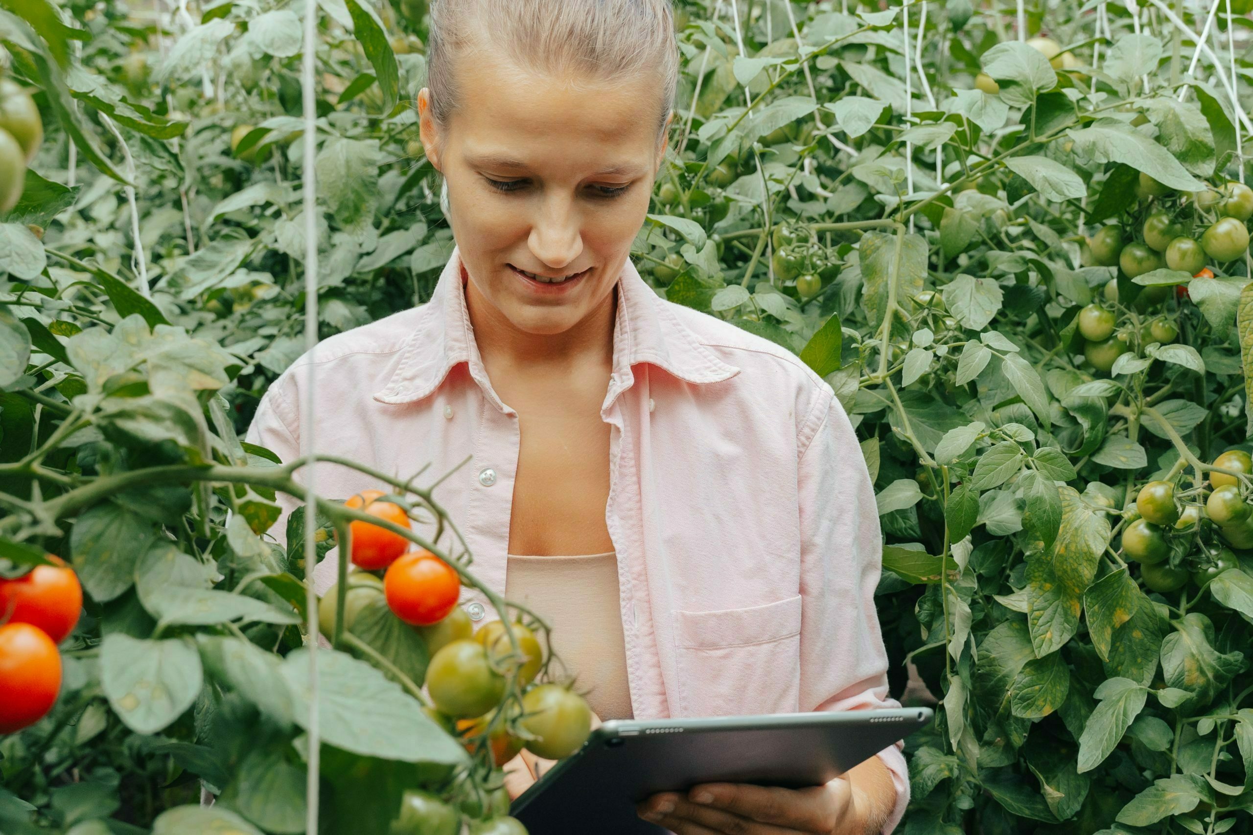 a person holding a tablet