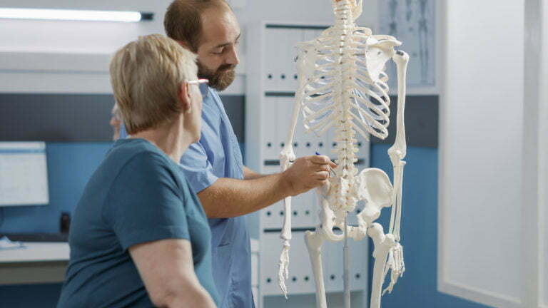 Male doctor pointing at human skeleton to show spinal cord